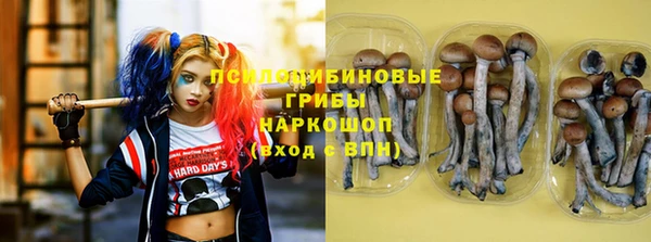скорость Ладушкин