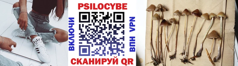 Псилоцибиновые грибы GOLDEN TEACHER  где продают   Мелеуз 